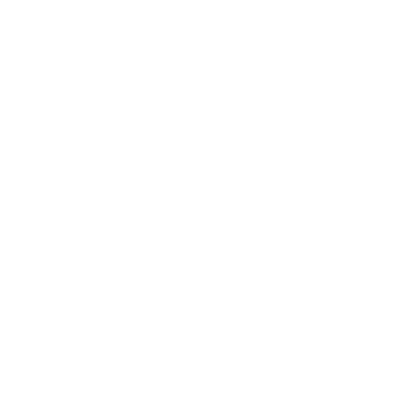 bmi icon