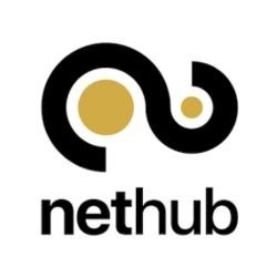 Nethub Logo