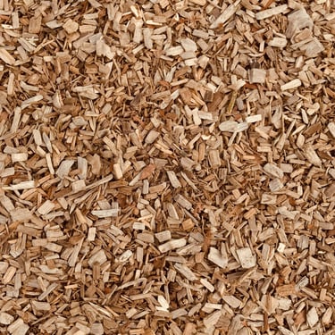 https://unsplash.com/photos/brown-dried-leaves-on-ground-O2Pn6LBp6Y0?utm_content=creditShareLink&utm