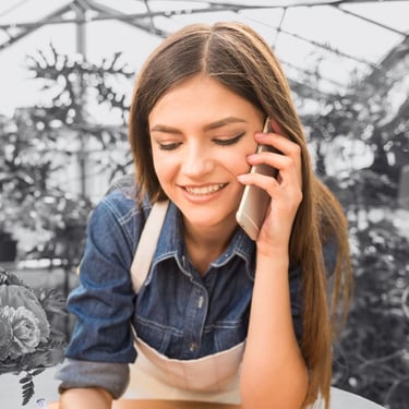 Small business accounting - Bare Bones Accountants