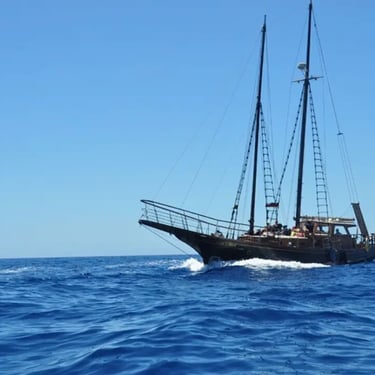 barco mondragon dream en mogan navegando 