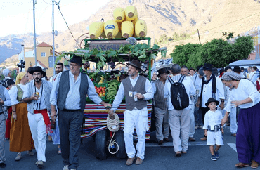 romeria_san_atonio_el_chico, mogan 