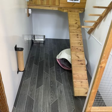 inside luxury penthouse