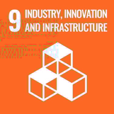 SDG 9