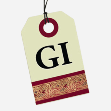 GI