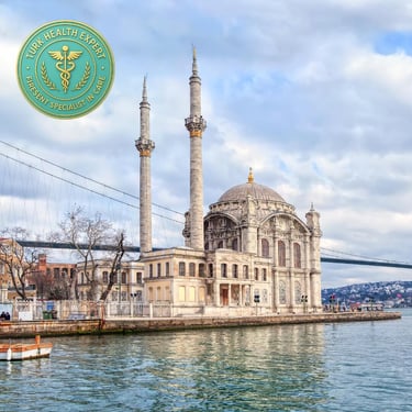 foto de una mesquita frente del busforo de estambul