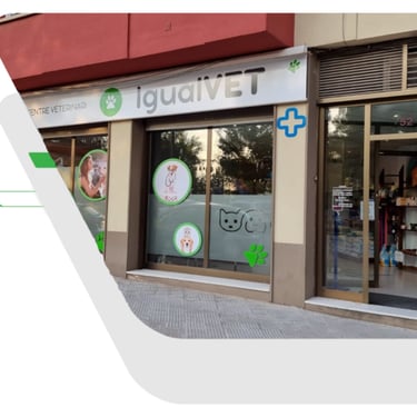 exterio del centre veterinari