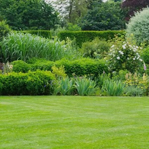 Landscaped Gardens Throughout the Project
