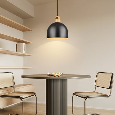 MNK-PD084 Single Head Pendant Lamp, Paint Metal Hanging Light Lampshade, Porch Bar Flush Mount Light