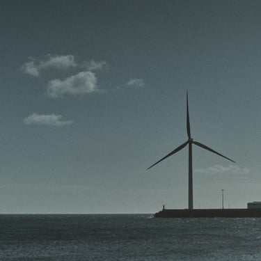 © juergen mack photography - synergy