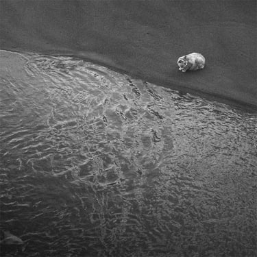 © juergen mack photography - la gata