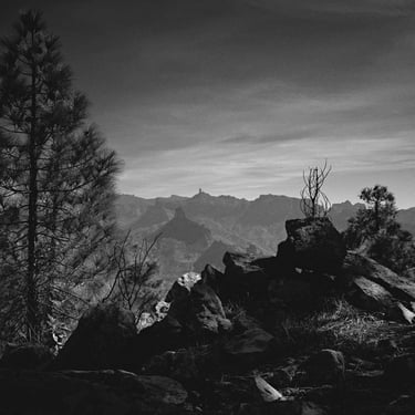 © juergen mack photography - altavista