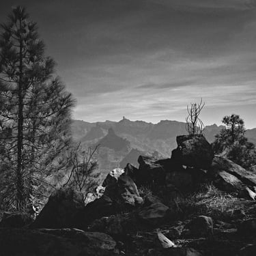 © juergen mack photography - altavista