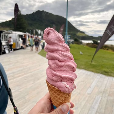 Helado de fruta natural de The Wave Café