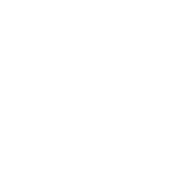 Customer Service Icon