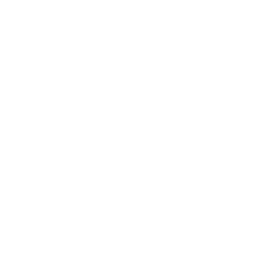 Expertise Icon
