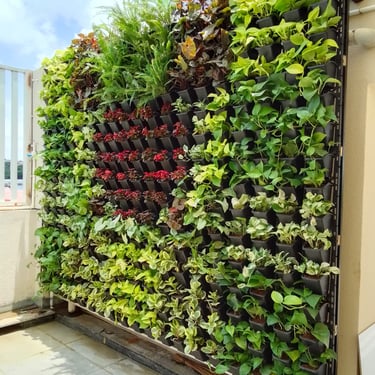 Vertical garden for rooftop by MyGreenearth