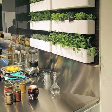 Customized kitchen garden setup in Bangalore by MyGreenEarth for terrace and balcony spaces