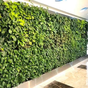 Natural vertical garden services in Bangalore by MyGreenEarth