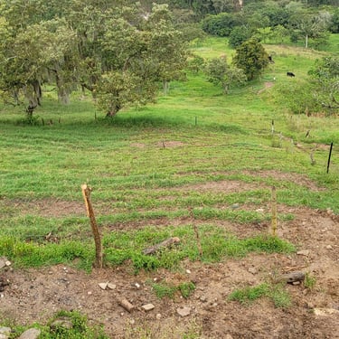 Potreros en finca de Amagá