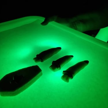 Glow Serving Food Tray in Carindale, Brisbane - party hire by SweetAz Co.