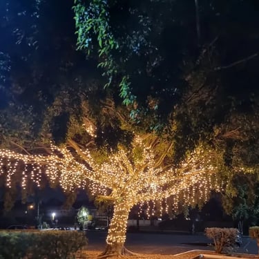 Party specialists gearing up for a 60th Birthday in Wynnum, Brisbane - party hire by SweetAz Co.