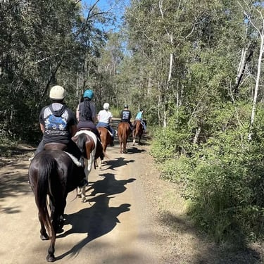 Party specialists experiencing a Group Event in Alexandrahills, Redlands - party hire by SweetAz Co.