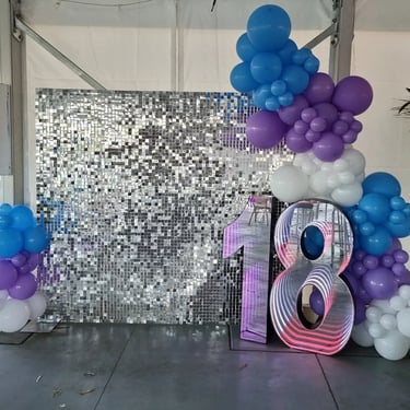 Shimmer Wall glistening in the breeze for an 18th Celebration in Cleveland, Redlands - party hire by SweetAz Co.