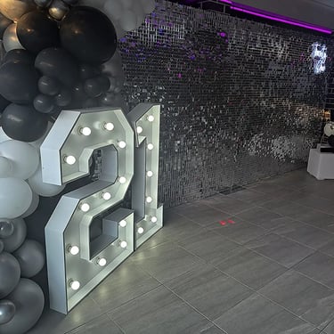 Shimmer Wall glistening in silver glam at a 21st Birthday in Redlandbay, Redlands - party hire by SweetAz Co.