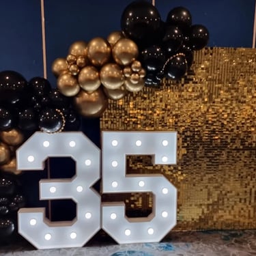 Shimmer Wall created for a 35Th Business Anniversary in Manly, Brisbane - party hire by SweetAz Co.