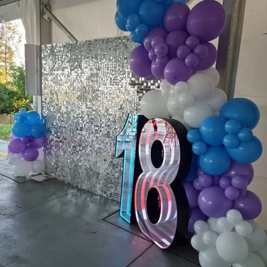 Shimmer Wall insta photo wall for an 18th Twins Birthday in Cleveland, Redlands - party hire by SweetAz Co.