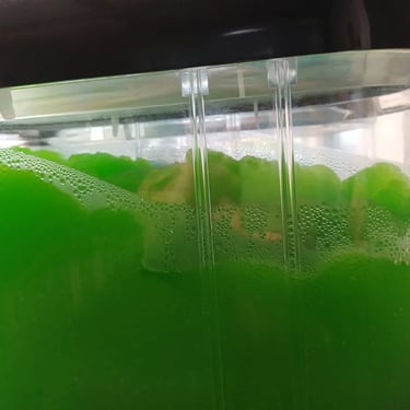 Slushie Machine getting its slush on for an 18th Birthday in Carindale, Brisbane - party hire by SweetAz Co.