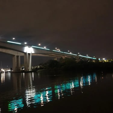 Sweetaz Crew taking in the views from the Boat Party Cruise in Newfarm, Brisbane - party hire by SweetAz Co.