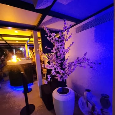 Sweetaz Crew checking out the décor during a Country Cruise Party in Newfarm, Brisbane - party hire by SweetAz Co.