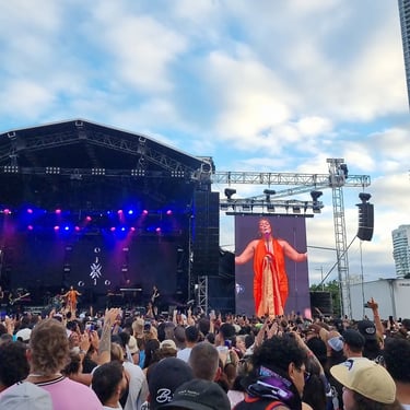 Sweetaz Crew watching kiwi artist Arahdna at a parklands Concert in Southport, Gold Coast - party hire by SweetAz Co.