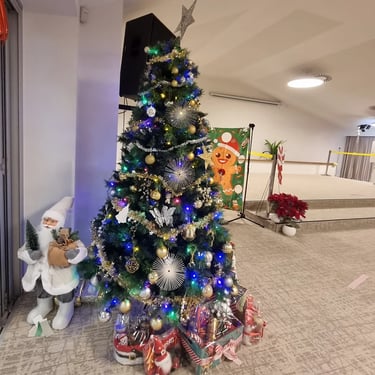 Sweetaz Crew taking in the Xmas tree at a Xmas Party in Victoriapoint, Redlands - party hire by SweetAz Co.