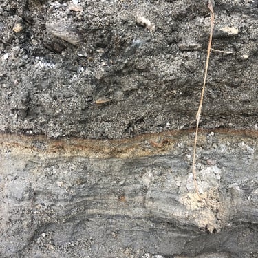 A photograph of a gold containing rock formation in Central Otago, New Zealand.