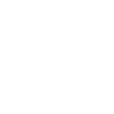 a fox head with a geometric design