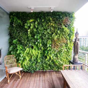 Modern vertical garden setup on a terrace in Bangalore with lush greenery.