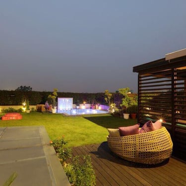 Modern themed terrace garden setup with stylish plants and seating arrangements.