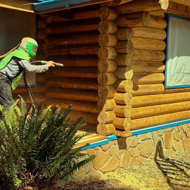 40 years of old stains removed for a fresh coat on this Log Home!