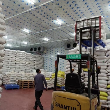 food storage cold room
