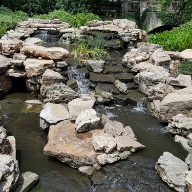 Dallas Arboretum & Botanical Garden