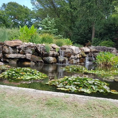 Dallas Arboretum & Botanical Garden