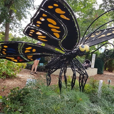 Dallas Arboretum & Botanical Garden