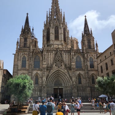 Cathedral of Barcelona