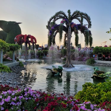 Dubai Miracle Garden