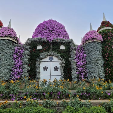 Dubai Miracle Garden
