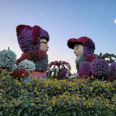 Dubai Miracle Garden
