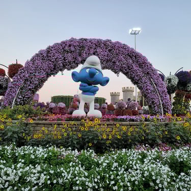 Dubai Miracle Garden